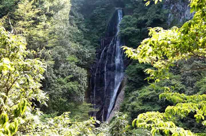 ���Ԃ��̑�(�ꌩ�䂩��)